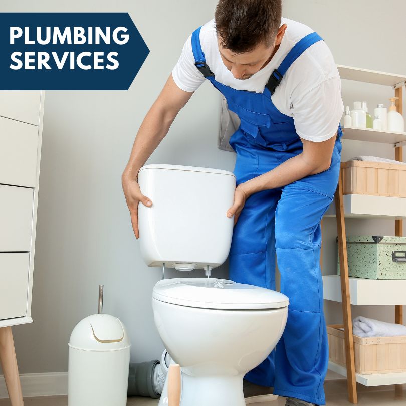 Plumbing Company in Otter Creek, FL